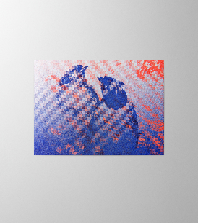 Hieronymus Valentine's Day Greetingcards Greeting Card Lovebirds Ultramarine A003553 A5