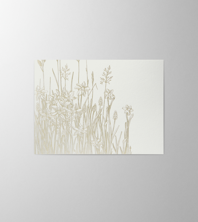 Hieronymus Greetingcards Greeting Card Meadow White Green A004134 A5