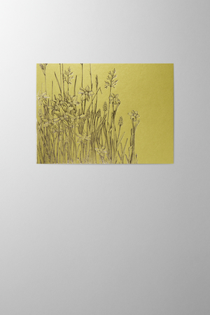 Hieronymus Greetingcards Greeting Card Meadow Spring Green A004135 A5