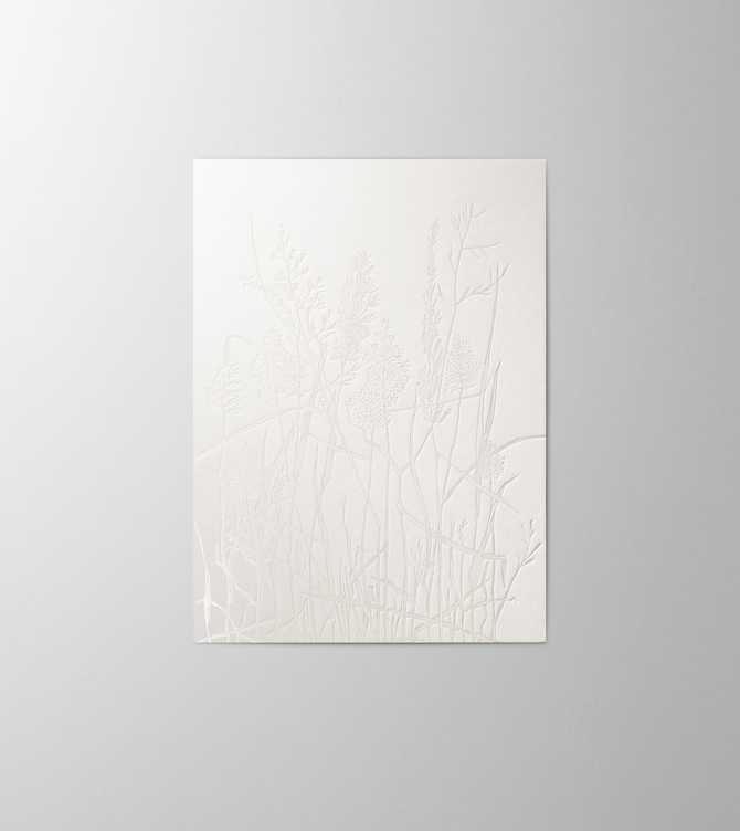 Hieronymus Condolence Greetingcards Greeting Card Leafs of Grass White Cream A004553 A5