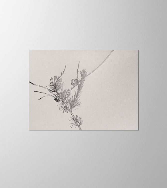 Hieronymus Greetingcards Christmas Greeting Card Larix Light Silver A005472 A005472 A.jpg