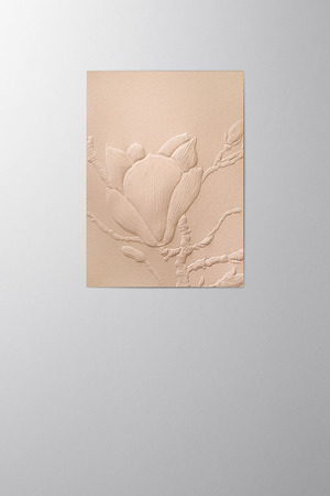 Hieronymus Birthday Greetingcards Mother's Day Greeting Card Magnolia Shiny Nude A005793 