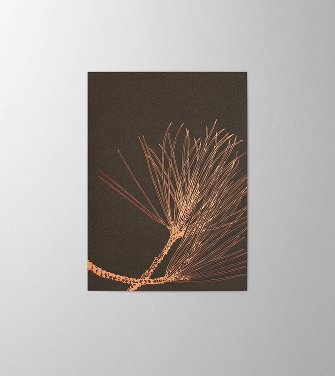 Hieronymus Greetingcards Christmas Greeting Card Pinus Nigra Copper A005797 A005797 A.jpg