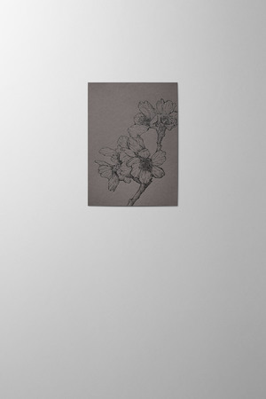 Hieronymus Small A6 Condolence Greeting Card Sakura Graphite Small A005842 A6.jpg
